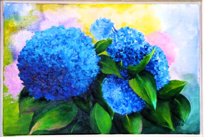 Blue Hydrangeas 2016