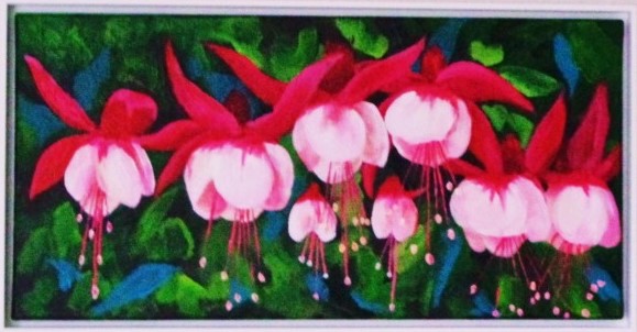 Colourful Fuchsias 2017