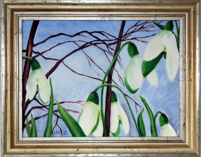 Queen Olga's Snowdrops 2019