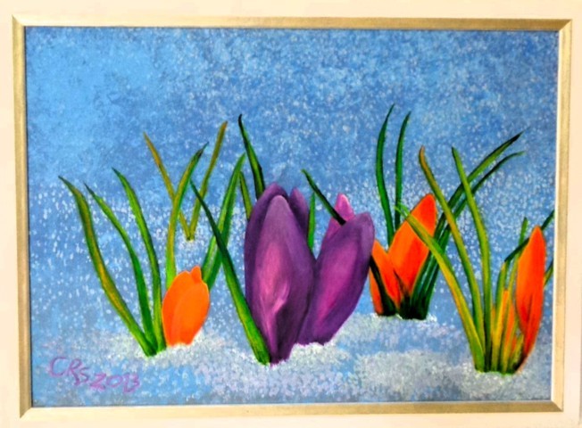 Krokusse im Februar 2013