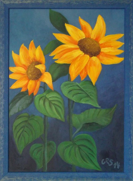 My sunflowers 2014