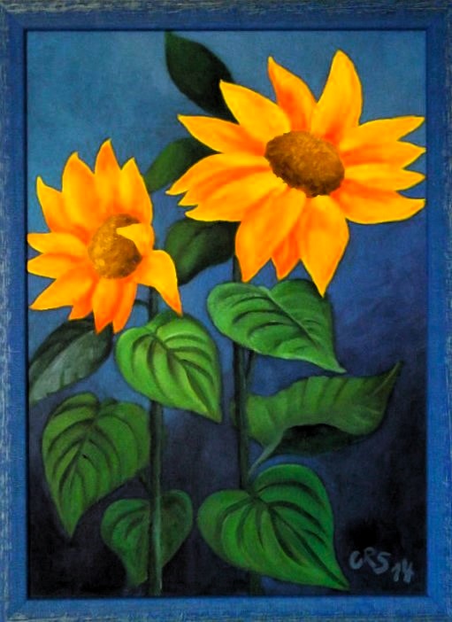 Meine Sonnenblumen 2014