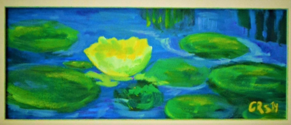Water Lily Pond 2014