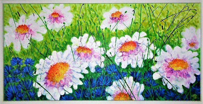 Summer meadow with French Daisies 2018